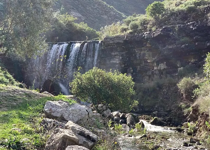 Dom Goncalo & 4* Fátima