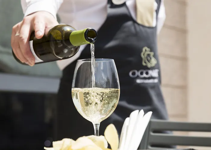 Dom Goncalo & 4* Fátima